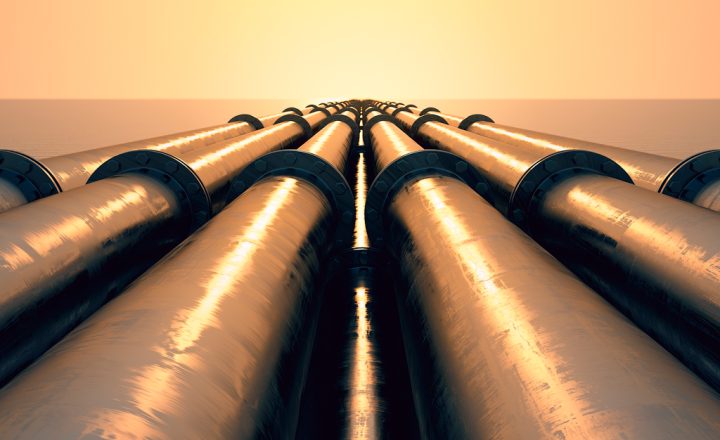 Project team Serik Zhamanbalin, Galymzhan Zhakupov, Nurzhan Karabayev, Yekaterina Nurperzentova, Assem Sabit.