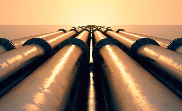 Project team Serik Zhamanbalin, Galymzhan Zhakupov, Nurzhan Karabayev, Yekaterina Nurperzentova, Assem Sabit.